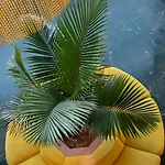 沃提斯塞维利亚尔贾拉菲旅馆 博尔穆霍斯